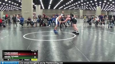 197 lbs Quarters & 1st Wb (16 Team) - Haven Tatarek, Castleton vs Tyler Hannah, Wisconsin-Platteville