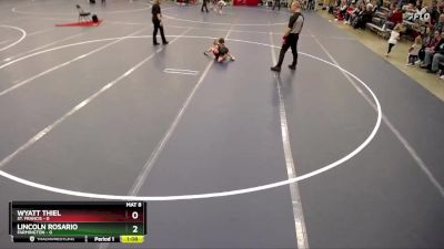 48 lbs Finals (8 Team) - Wyatt Thiel, St. Francis vs Lincoln Rosario, Farmington