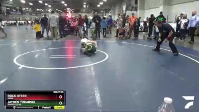 61 lbs 3rd Place Match - Jayden Tokarski, Dansville WC vs Rock Otter, NBWC