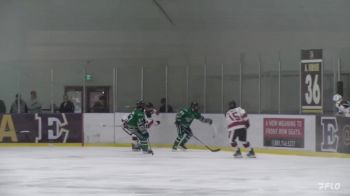 Replay: Home - 2023 FV Thunderbirds U vs CBHA Bulls U17 | Nov 3 @ 10 AM