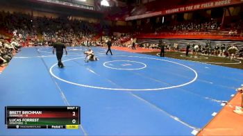 113 lbs D2/d3 - Semi-finals (sat 10:00am.) - Brett Birchman, Fennimore vs Lucas Forrest, Stratford