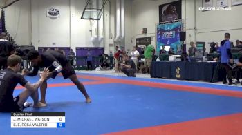 JAKE MICHAEL WATSON vs STANLEY E. ROSA VALERIO 2019 Pan IBJJF Jiu-Jitsu No-Gi Championship