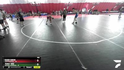 165 lbs Placement Matches (16 Team) - Tony Wei, Waukee Warriors vs Kash Giese, Lena/Bonduel