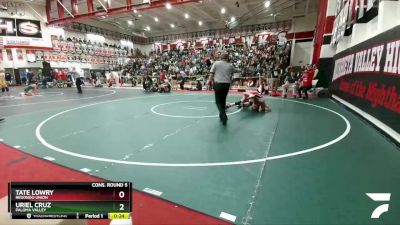 106 lbs Cons. Round 5 - Tate Lowry, Redondo Union vs Uriel Cruz, Paloma Valley