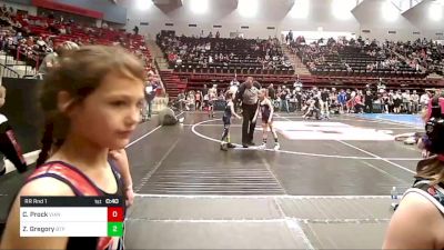 55 lbs Final - Camden Cross, Claremore Wrestling Club vs Ross Stegeman, Tulsa Blue T Panthers