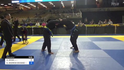 ASHVIN DESAI vs GRIFFIN ANDREW BIVIANO 2024 Pan Jiu Jitsu IBJJF Championship