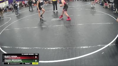 100 lbs Quarterfinal - Eliott Pipkin, Stratford Knights Youth vs Mason Browning, Summerville Takedown Club