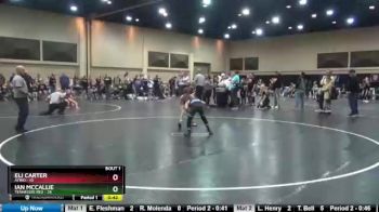 80 lbs Finals (2 Team) - Ian McCallie, Tennessee Red vs Eli Carter, AYWO
