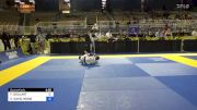 FELIPE GOULART vs ETHAN DAVID WONG 2024 Pan Jiu Jitsu IBJJF Championship