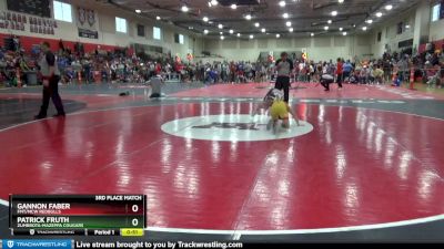 95 lbs 3rd Place Match - Patrick Fruth, Zumbrota-Mazeppa Cougars vs Gannon Faber, FMT/MCW Redbulls