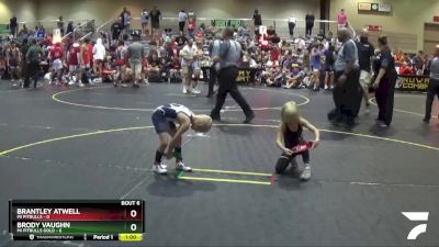 49 lbs Semis & 1st Wrestleback (8 Team) - Brody Vaughn, Mi Pitbulls Gold vs Brantley Atwell, Mi Pitbulls