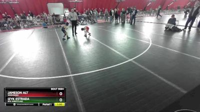 44-46 lbs Round 3 - Jameson Alt, Wisconsin vs Izyk Estrada, BYA Wrestling