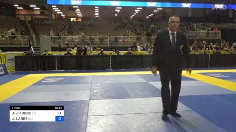 JEAN-FRANÇOIS LABBÉ vs ADAM J KRINIC 2024 Pan Jiu Jitsu IBJJF Championship