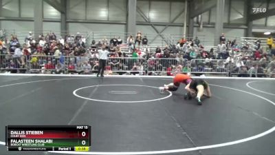 145 lbs Cons. Round 3 - Falasteen Shalabi, Bobcat Wrestling Club vs Dallis Stieben, Colby Kids