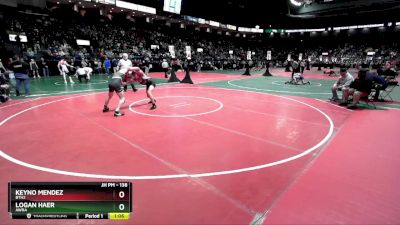 138 lbs Quarterfinal - Logan Haer, AWRA vs Keyno Mendez, BTH2