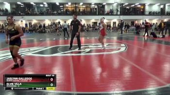 116 lbs Round 2 (16 Team) - Jaslynn Gallegos, North Central College vs Elvie Villa, McKendree