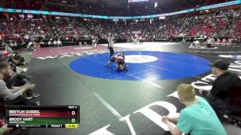 D2-157 lbs Cons. Semi - Breylin Goebel, Darlington/Black Hawk vs Brody Hart, Winneconne