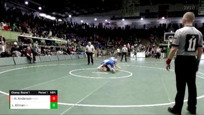 120 lbs Champ. Round 1 - Nick Anderson, Hamilton Southeastern vs Logan Gilman, Eastern Hancock