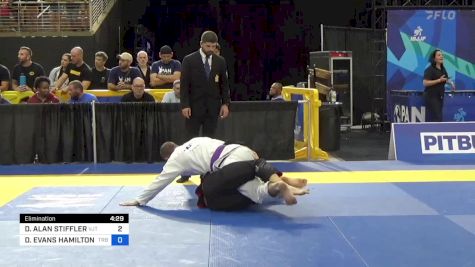 DAVID ALAN STIFFLER vs DONALD EVANS HAMILTON IV 2024 Pan Jiu Jitsu IBJJF Championship