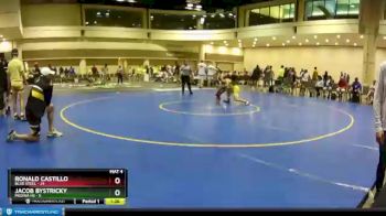 138 lbs Round 3 (10 Team) - Jacob Bystricky, Medina HS vs Ronald Castillo, Blue Steel