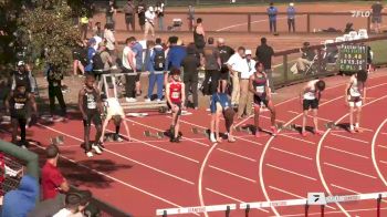 High School Boys' 110m Hurdles, Final