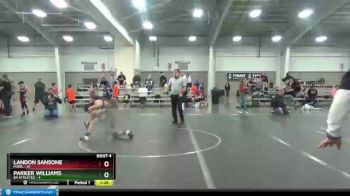 96 lbs Round 2 (4 Team) - Landon Sansone, MJWL vs Parker Williams, 84 Athletes