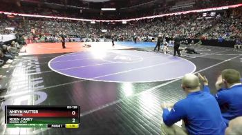 D3-120 lbs Semifinal - Amryn Nutter, Fennimore vs Roen Carey, Mineral Point