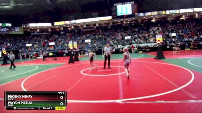 70 lbs Semifinal - Payton Pizzuli, ROGA vs Phoenix Henry, CAM2