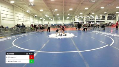 74 lbs Quarterfinal - Collin Vitale, Red Roots WC vs Skylar Napolitano, Fisheye WC