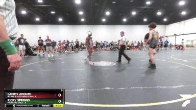 117 lbs Finals (8 Team) - Sammy Aponte, NC Pride Elite Wrestling vs Ricky Springs, Palmetto Gold