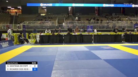 DIEGO SANTANA DO ESPÍRITO SANTO vs CELSO RICARDO DOS REIS FILHO 2024 Pan Jiu Jitsu IBJJF Championship