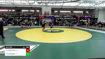 145 lbs Semifinal - Alyana Martinez, New Britain vs Rachel Camiglio, Shelton