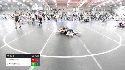 120 lbs Rr Rnd 2 - Carter Krouse, Beast Nation vs Kurt Wehner, Triumph Gold