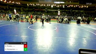 80 lbs Quarterfinal - Dante Rhodes, Hanover Park vs Caiden Fitzmaurice, 14awc