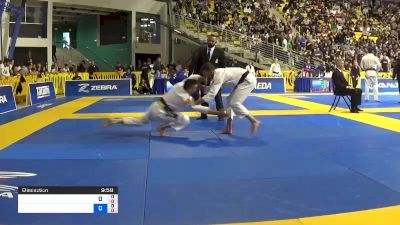 FERNANDO JESUS SOARES vs LUIS FELIPE NINJA DE MORAES PINT 2019 World Jiu-Jitsu IBJJF Championship