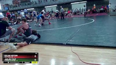 145 lbs Round 6 (10 Team) - Jaelen Culp, Alabama Elite Red vs Dylan Vetter, Next Level WC