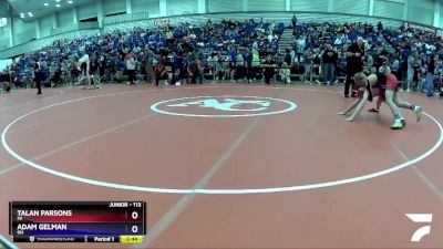 113 lbs Champ. Round 2 - Talan Parsons, MI vs Adam Gelman, OH