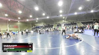 113 lbs 1st Place Match - Ethan Sharp, Uintah vs Kaleb Blackner, Roy Wrestling Club