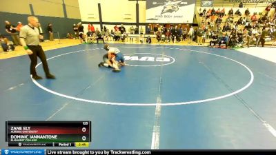 125 lbs Cons. Round 1 - Dominic Iannantone, Elmhurst College vs Zane Ely, Aurora Universtiy