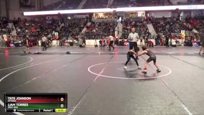 43 lbs Cons. Round 3 - Tate Johnson, Ottawa vs Liam Torres, Gray Kids