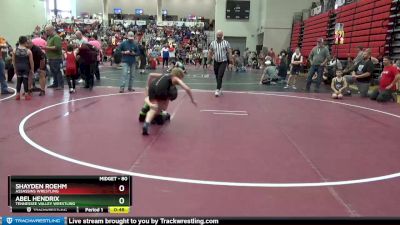 80 lbs Cons. Round 2 - Abel Hendrix, Tennessee Valley Wrestling vs Shayden Roehm, Assassins Wrestling