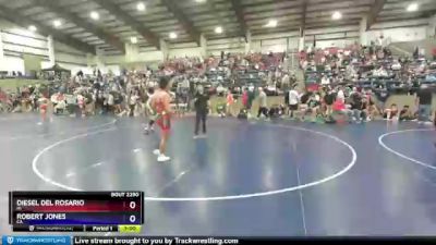 126 lbs Quarterfinal - Diesel Del Rosario, HI vs Robert Jones, CA