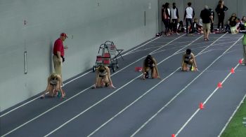 Women's 4x400m Relay, Heat 2