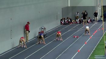 Women's 4x400m Relay, Heat 1