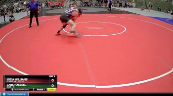 172 lbs Semis & 1st Wrestleback (8 Team) - Gabe Hasbell, Elgin vs Jozia Williams, Illinois Valley
