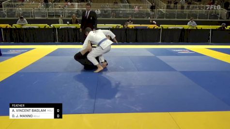 ANTHONY VINCENT BAGLAMA vs DOMINIC J. MANNO 2024 Pan Jiu Jitsu IBJJF Championship