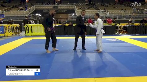 DAMIAN LIAM DOMINGO TAGLE vs ROBERTO A ARCE 2024 Pan Jiu Jitsu IBJJF Championship