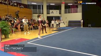 Tali Twomey - Floor, Springfield College - 2018 NCGA Championships