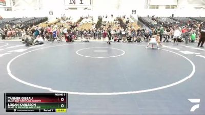 142 lbs Round 3 - Tanner Gibeau, Black Belt Wrestling Academy vs Logan Karlsson, Bears Of Brewster Wrestling