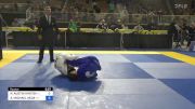 NOAH AUSTIN HINTON vs AARON MICHAEL SEDA 2024 Pan Jiu Jitsu IBJJF Championship
